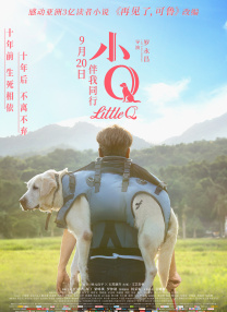 国产欧美日韩精品a在线观看